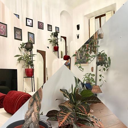 La Stanza Della Giungla Leilighet Milano Eksteriør bilde